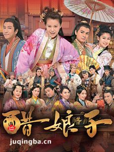醋娘子 醋娘子剧情介绍(1-20全集)