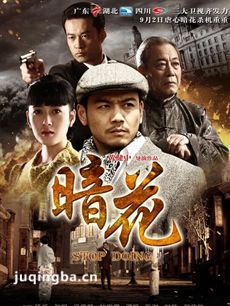 倾城蝶恋 倾城蝶恋剧情介绍(1-36全集)