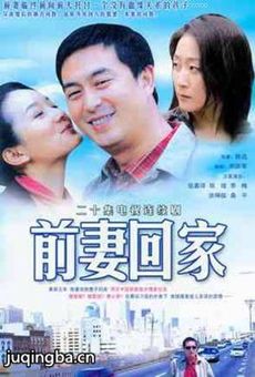 前妻回家 前妻回家剧情介绍(1-20全集)