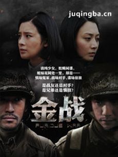 金战尖兵 电视剧金战尖兵剧情介绍(1-36全集)