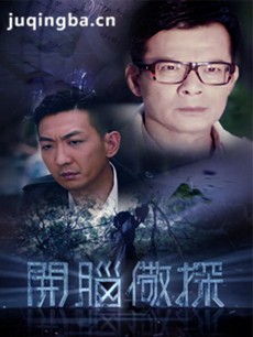 开脑儆探 开脑儆探剧情介绍(1-16全集)