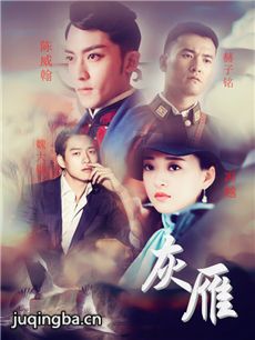 灰雁 灰雁剧情介绍(1-46全集)