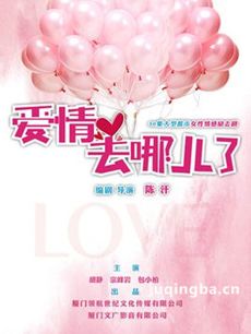 爱情去哪儿了 爱情去哪儿了剧情介绍(1-30全集)