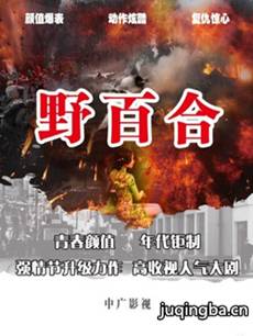 野百合 电视剧《野百合》剧情介绍(1-21全集)