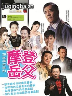 摩登岳父 摩登岳父剧情介绍(1-33全集)