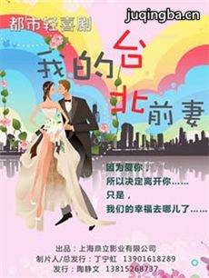 我的台北前妻 我的台北前妻剧情介绍(1-40全集)