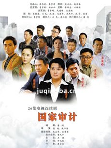 国家审计 电视剧国家审计剧情介绍(1-26全集)