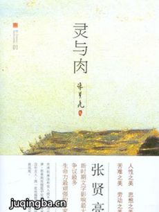 灵与肉 电视剧《灵与肉》剧情介绍(1-42全集)
