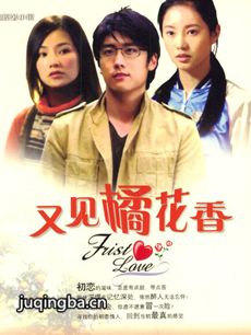又见橘花香 电视剧《又见橘花香》剧情介绍(1-20全集...