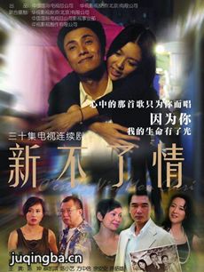 新不了情 新不了情剧情介绍(1-29全集)