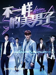 不一样的美男子 不一样的美男子剧情介绍(1-30全集)