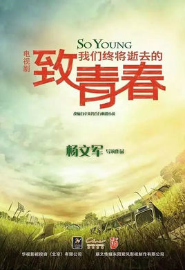 致我们终将逝去的青春 电视剧《致我们终将逝去的青春...
