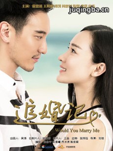 追婚记 电视剧《追婚记》剧情介绍(1-41全集)