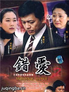 错爱2 错爱2剧情介绍(1-26全集)