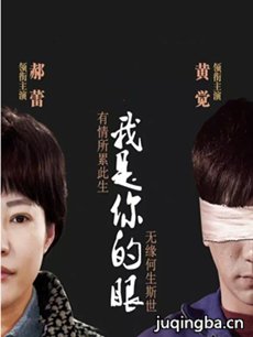 我是你的眼 我是你的眼剧情介绍(1-44全集)