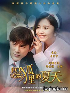 狐狸的夏天 狐狸的夏天剧情介绍(1-44全集)