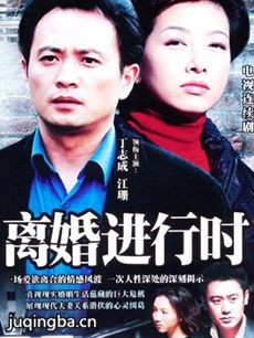 离婚进行时 电视剧《离婚进行时》剧情介绍(1-20全集...