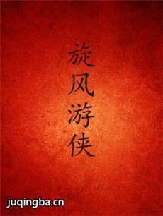 旋风游侠 旋风游侠剧情介绍(1-20全集)