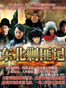 东北剿匪记 东北剿匪记剧情介绍(1-48全集)
