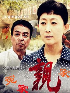 冤家亲家 电视剧冤家亲家剧情介绍(1-30全集)