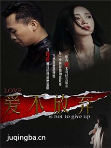 爱不放弃 爱不放弃剧情介绍(1-30全集)