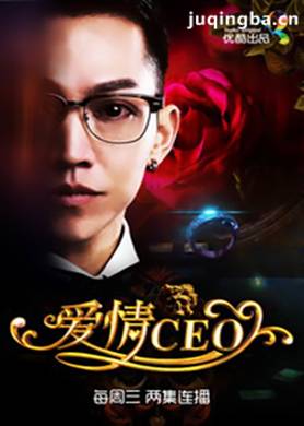 网络剧爱情CEO 网络剧《爱情CEO》剧情介绍(1-14全集...