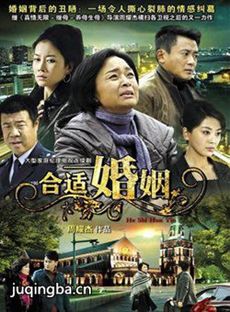 合适婚姻 合适婚姻剧情介绍(1-25全集)