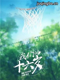我们的十六岁 我们的十六岁剧情介绍(1-40全集)
