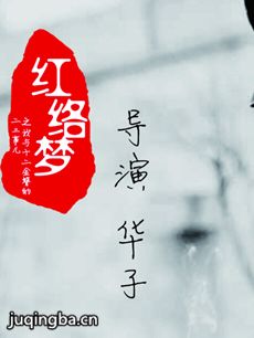 红络梦之我与十二金簪的二三事儿 红络梦之我与十二金...