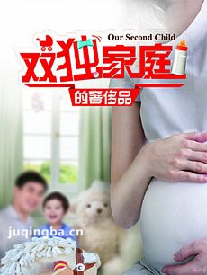 双独家庭的奢侈品 双独家庭的奢侈品剧情介绍(1-33全...