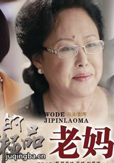 我的极品老妈 我的极品老妈剧情介绍(1-30全集)
