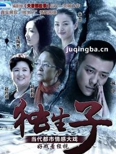 独生子 电视剧独生子剧情介绍(1-36全集)