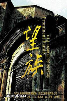 望族 电视剧望族剧情介绍(1-37全集)