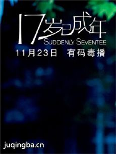 17岁已成年 17岁已成年剧情介绍(1-26全集)