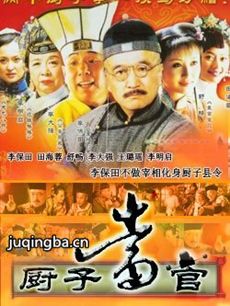 厨子当官 厨子当官剧情介绍(1-30全集)