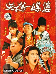 天下第一媒婆 天下第一媒婆剧情介绍(1-42全集)