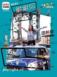 谢谢你纽约 电视剧谢谢你纽约剧情介绍(1-8全集)