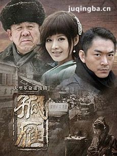 孤雁 电视剧孤雁剧情介绍(1-45全集)