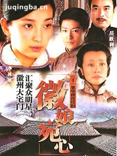 徽娘宛心 徽娘宛心剧情介绍(1-31全集)
