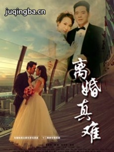 离婚真难 电视剧《离婚真难》剧情介绍(1-12全集)