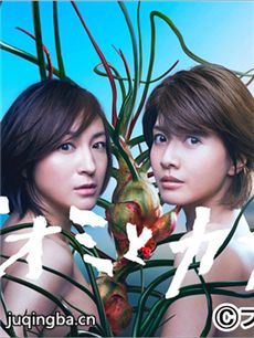 直美和加奈子 日剧直美和加奈子剧情介绍(1-10全集)