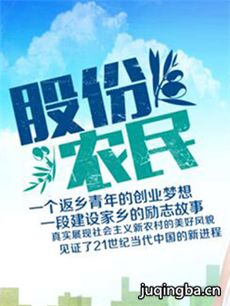 股份农民 股份农民剧情介绍(1-36全集)