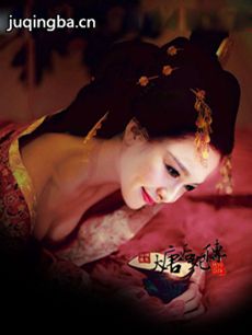 大唐荣耀 大唐荣耀剧情介绍(1-60全集)
