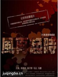 风再起时 风再起时剧情介绍(1-30全集)