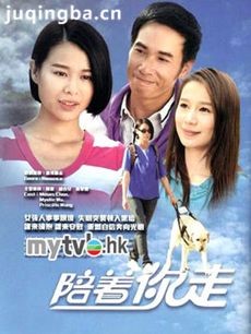 陪着你走 电视剧《陪着你走》剧情介绍(1-20全集)