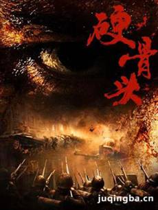 硬骨头 电视剧《硬骨头》剧情介绍(1-36全集)