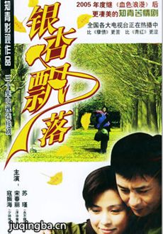 银杏飘落 银杏飘落剧情介绍(1-30全集)