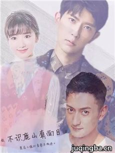 不识鹿山真面目 不识鹿山真面目剧情介绍(1-35全集)