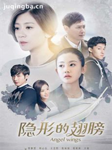隐形的翅膀 电视剧《隐形的翅膀》剧情介绍(1-48全集...