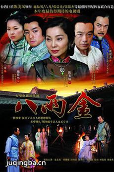 八两金 八两金剧情介绍(1-29全集)